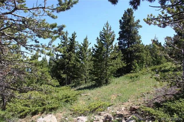 1595 Missouri Gulch Road Black Hawk, CO 80422