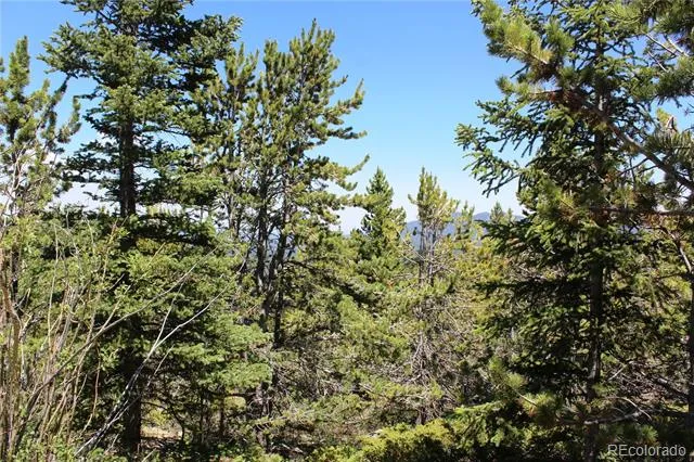 1595 Missouri Gulch Road Black Hawk, CO 80422
