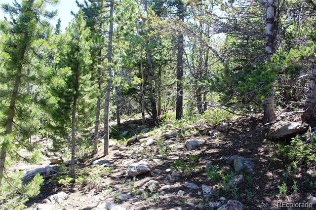 1595 Missouri Gulch Road Black Hawk, CO 80422
