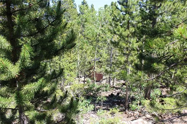 1595 Missouri Gulch Road Black Hawk, CO 80422