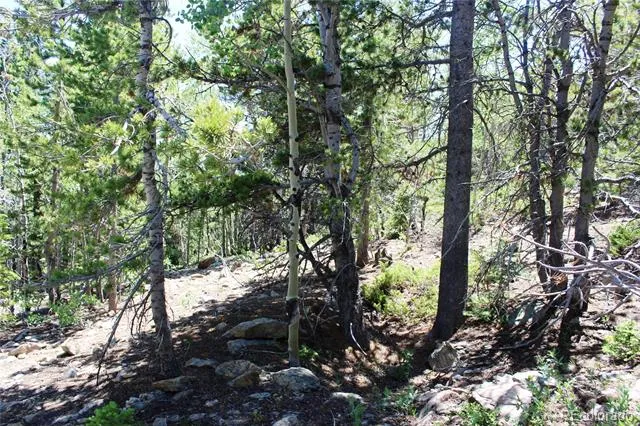1595 Missouri Gulch Road Black Hawk, CO 80422