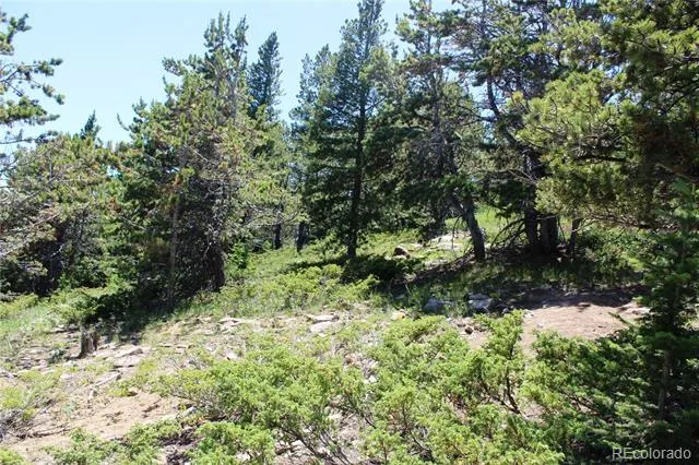 1595 Missouri Gulch Road Black Hawk, CO 80422