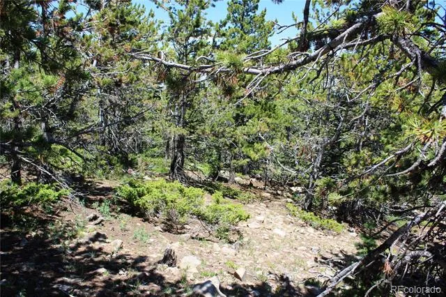 1595 Missouri Gulch Road Black Hawk, CO 80422