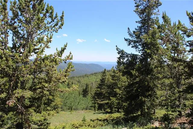 1595 Missouri Gulch Road Black Hawk, CO 80422