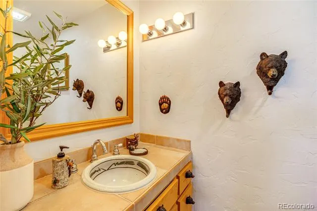 528 Mohawk Heights Florissant, CO 80816