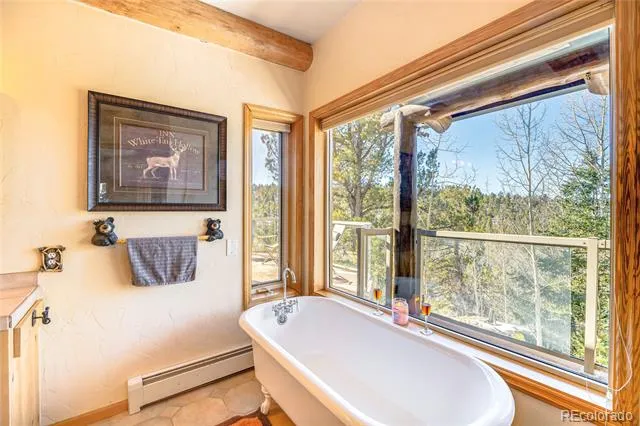 528 Mohawk Heights Florissant, CO 80816
