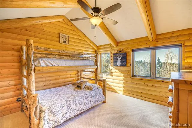 528 Mohawk Heights Florissant, CO 80816