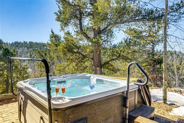 528 Mohawk Heights Florissant, CO 80816