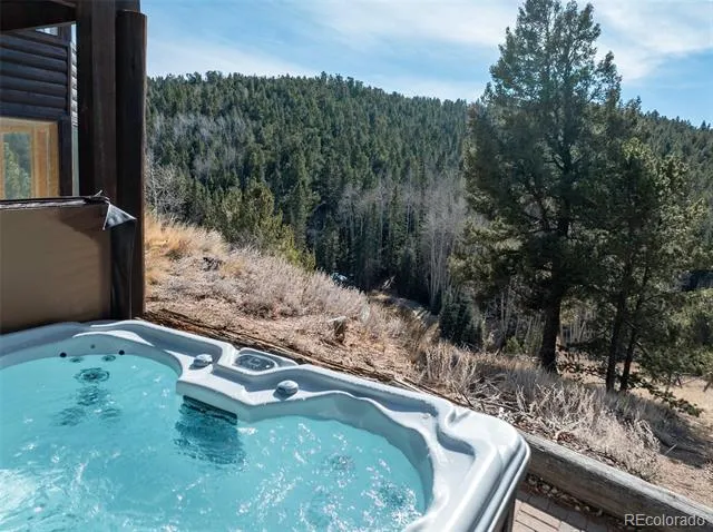 528 Mohawk Heights Florissant, CO 80816