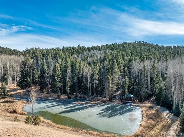 528 Mohawk Heights Florissant, CO 80816