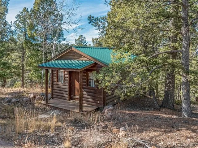 528 Mohawk Heights Florissant, CO 80816