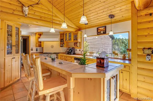 528 Mohawk Heights Florissant, CO 80816