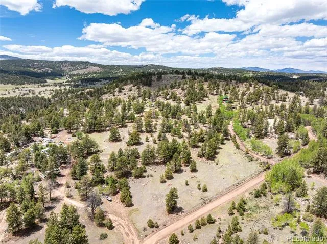 527 Plateau Drive Guffey, CO 80820