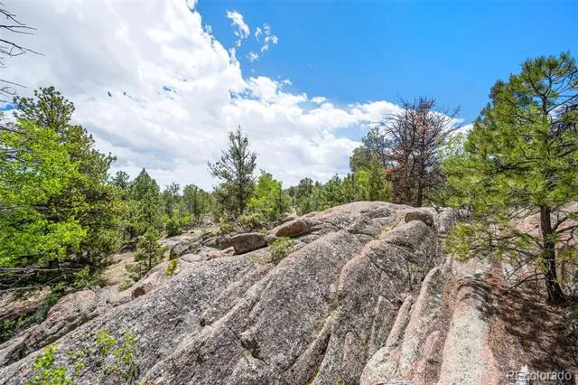 527 Plateau Drive Guffey, CO 80820