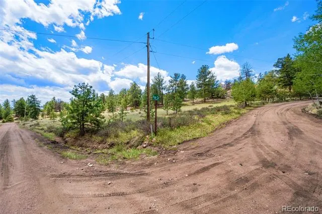 527 Plateau Drive Guffey, CO 80820