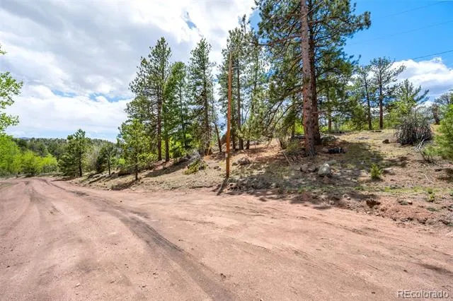 527 Plateau Drive Guffey, CO 80820