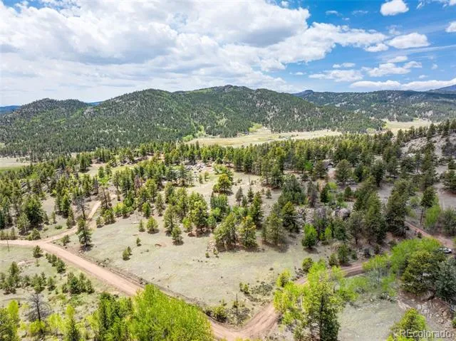 527 Plateau Drive Guffey, CO 80820
