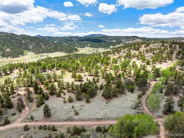 527 Plateau Drive Guffey, CO 80820