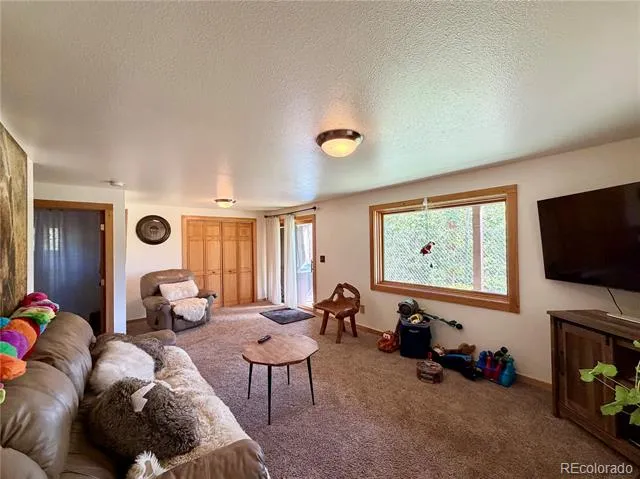 169 Athena Road Black Hawk, CO 80422