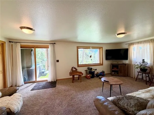 169 Athena Road Black Hawk, CO 80422