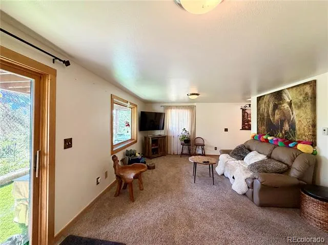 169 Athena Road Black Hawk, CO 80422