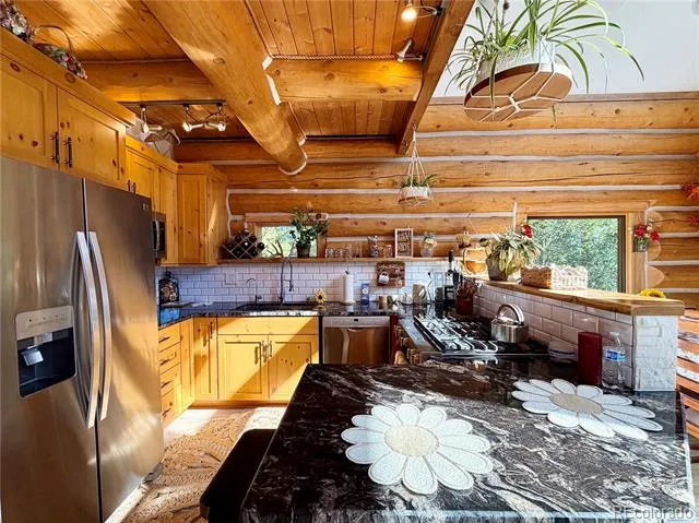 169 Athena Road Black Hawk, CO 80422