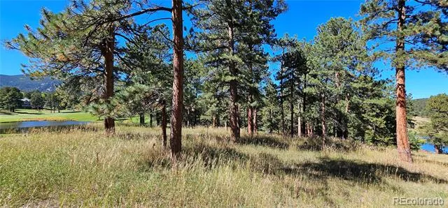 Lot 363 Interlocken Court Evergreen, CO 80439
