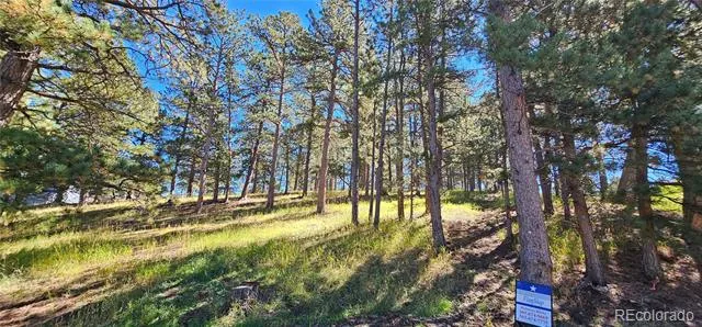 Lot 363 Interlocken Court Evergreen, CO 80439