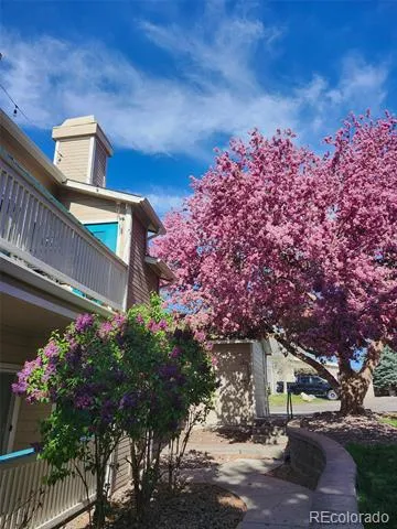 8449 Little Rock Way #204 Littleton, CO 80126