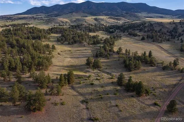 0 Big Buck Road Guffey, CO 80820