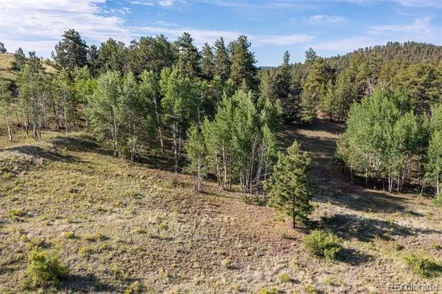 0 Big Buck Road Guffey, CO 80820