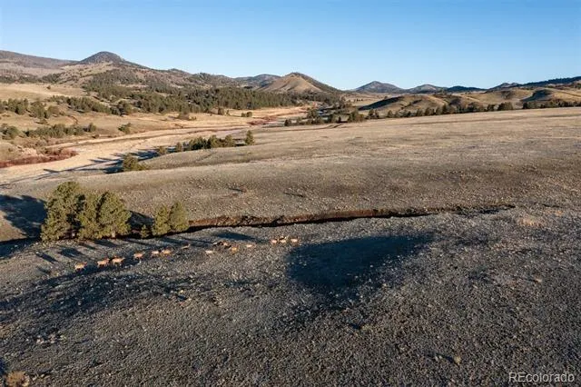 0 Big Buck Road Guffey, CO 80820