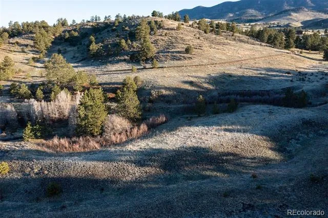 0 Big Buck Road Guffey, CO 80820