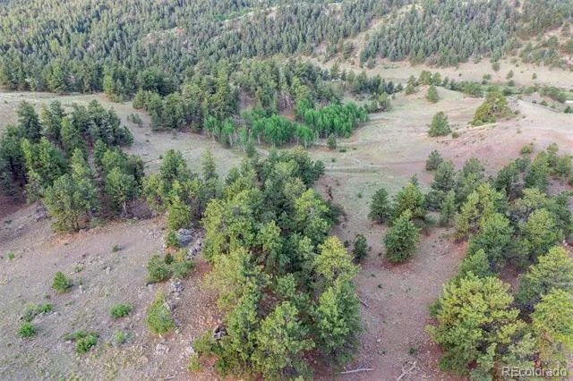 0 Big Buck Road Guffey, CO 80820
