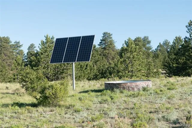 0 Big Buck Road Guffey, CO 80820