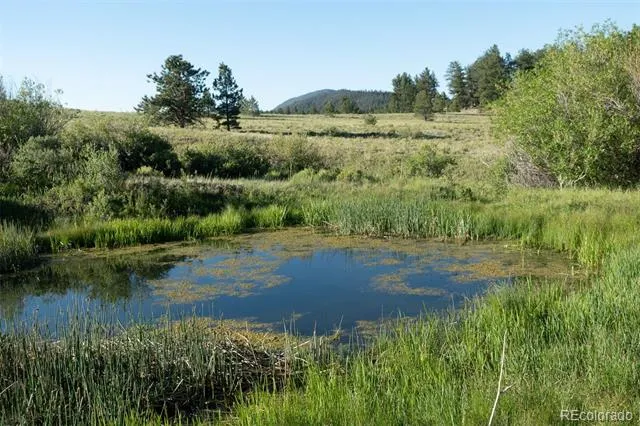 0 Big Buck Road Guffey, CO 80820