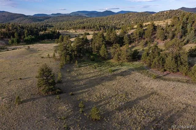 0 Big Buck Road Guffey, CO 80820