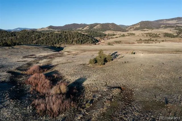 0 Big Buck Road Guffey, CO 80820