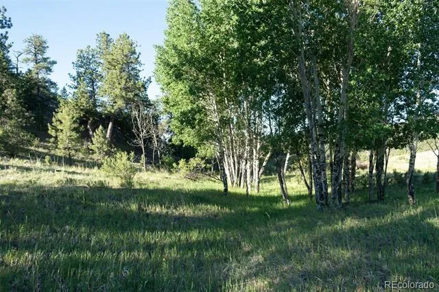 0 Big Buck Road Guffey, CO 80820