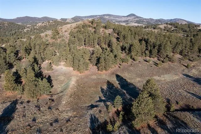 0 Big Buck Road Guffey, CO 80820