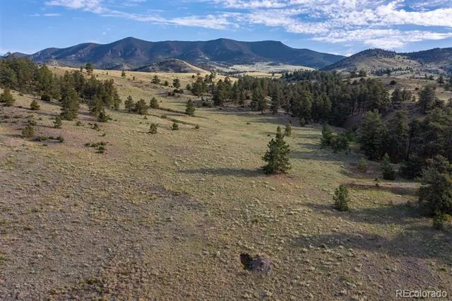 0 Big Buck Road Guffey, CO 80820