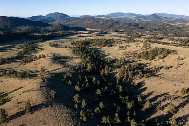 0 Big Buck Road Guffey, CO 80820