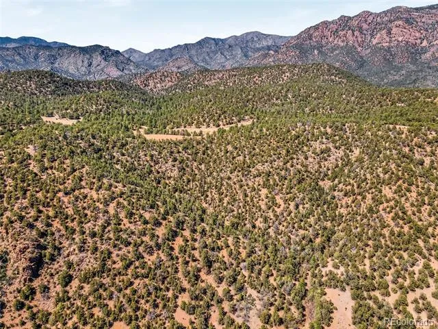 797 Hellgate Way Canon City, CO 81212