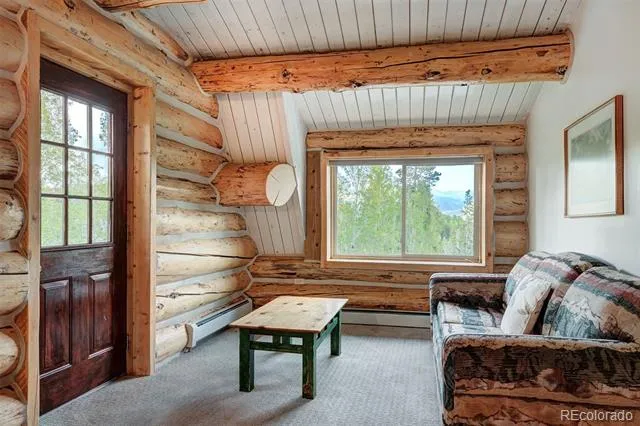 232 Side Circle Silverthorne, CO 80498