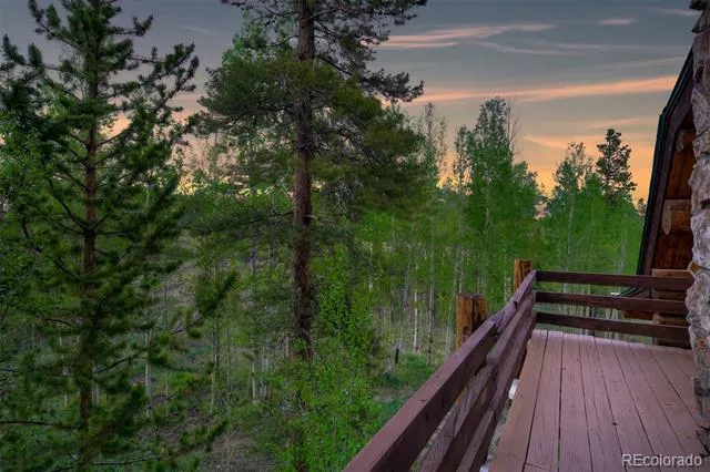 232 Side Circle Silverthorne, CO 80498
