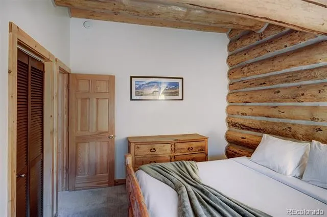 232 Side Circle Silverthorne, CO 80498
