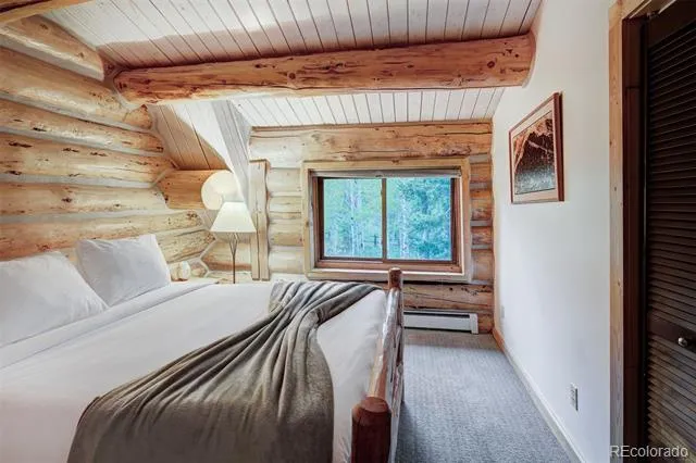 232 Side Circle Silverthorne, CO 80498