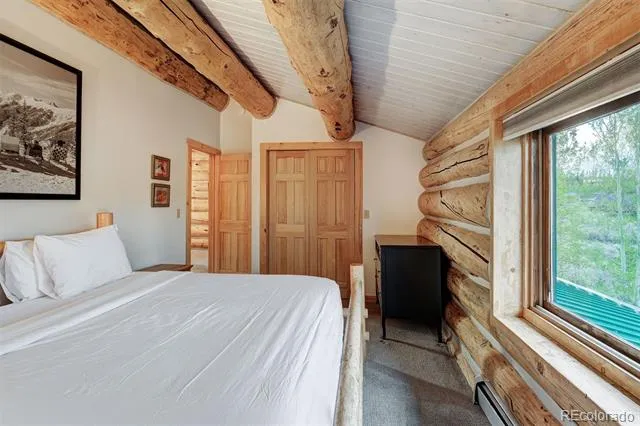232 Side Circle Silverthorne, CO 80498