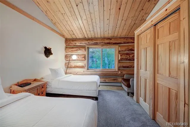 232 Side Circle Silverthorne, CO 80498