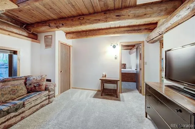 232 Side Circle Silverthorne, CO 80498